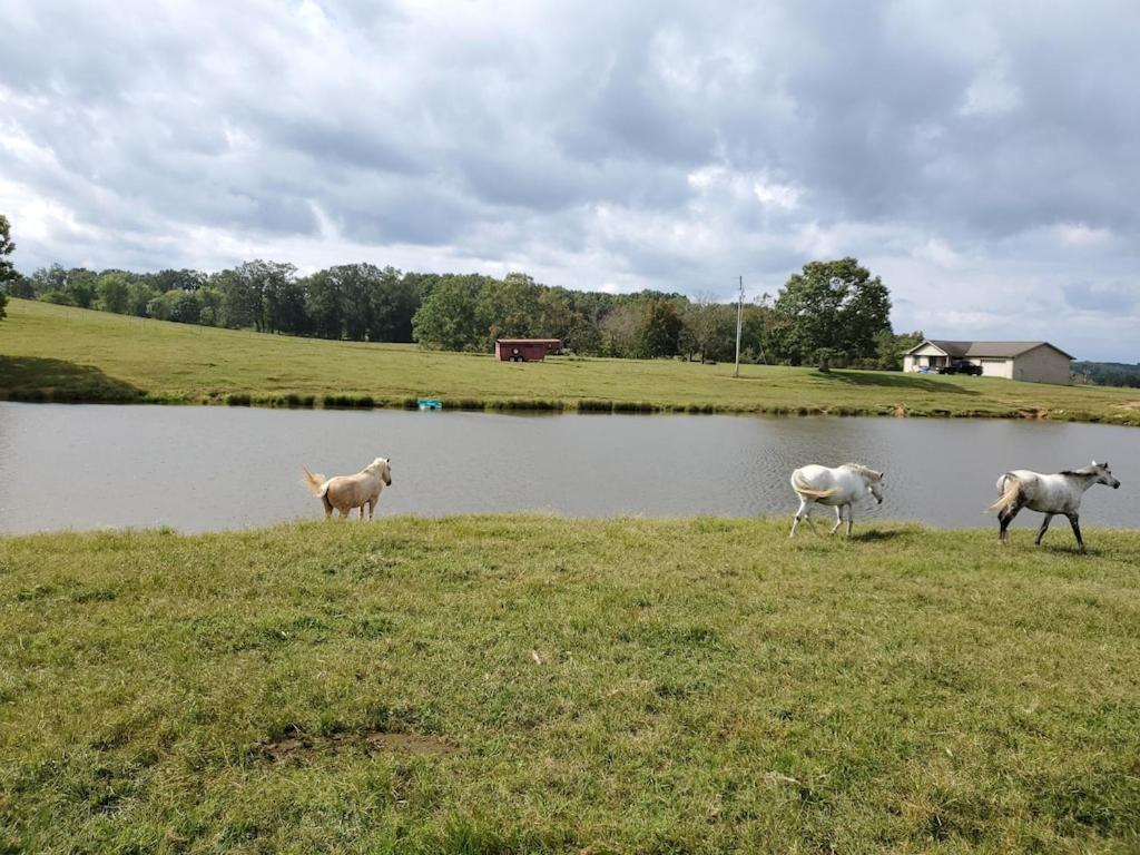 Secluded House On 60 Acres Close To Fall Creek Falls Pikeville ภายนอก รูปภาพ
